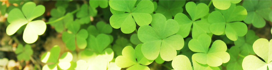 GREEN LIFEトップイメージ